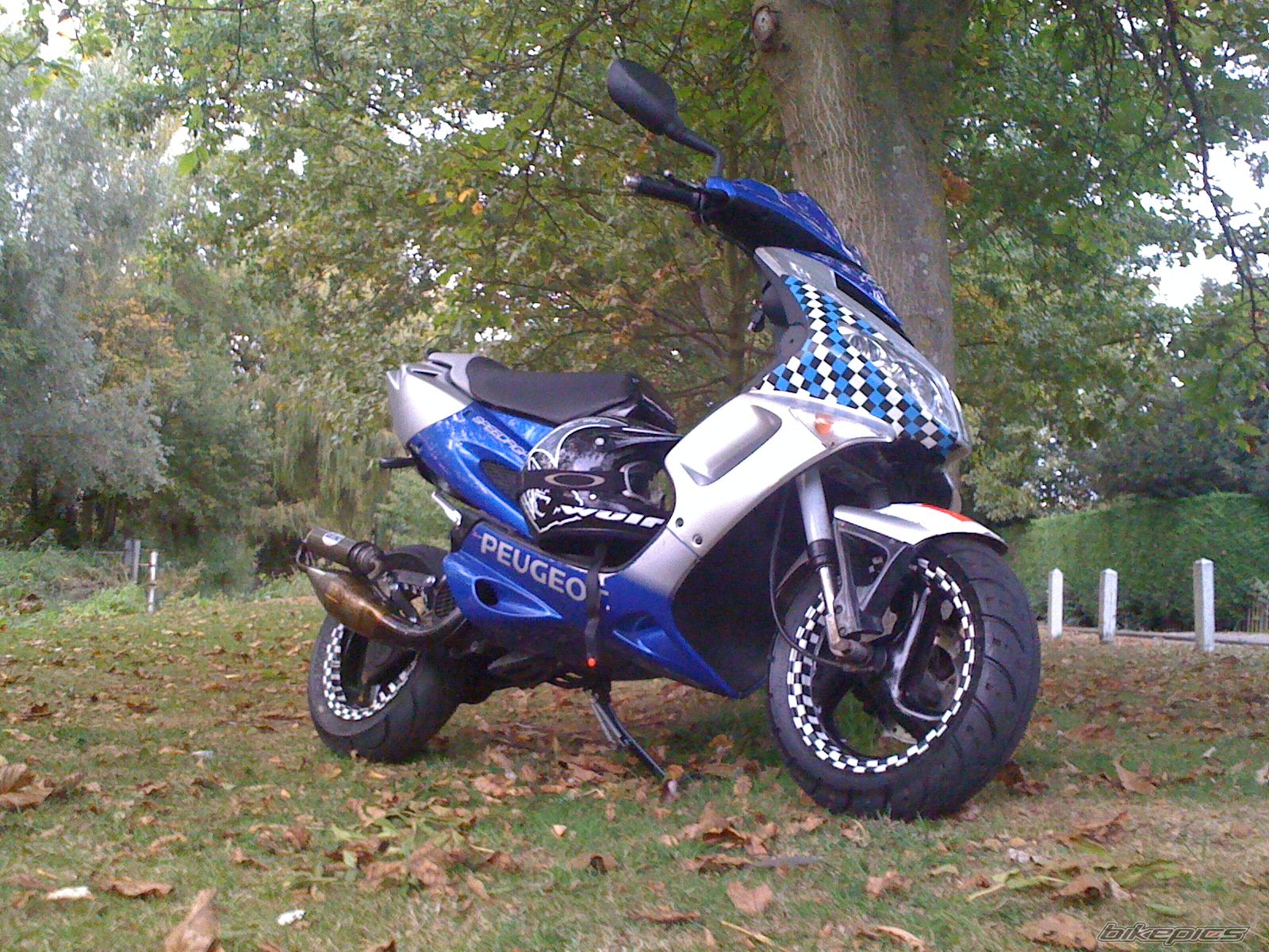Photo 1797341