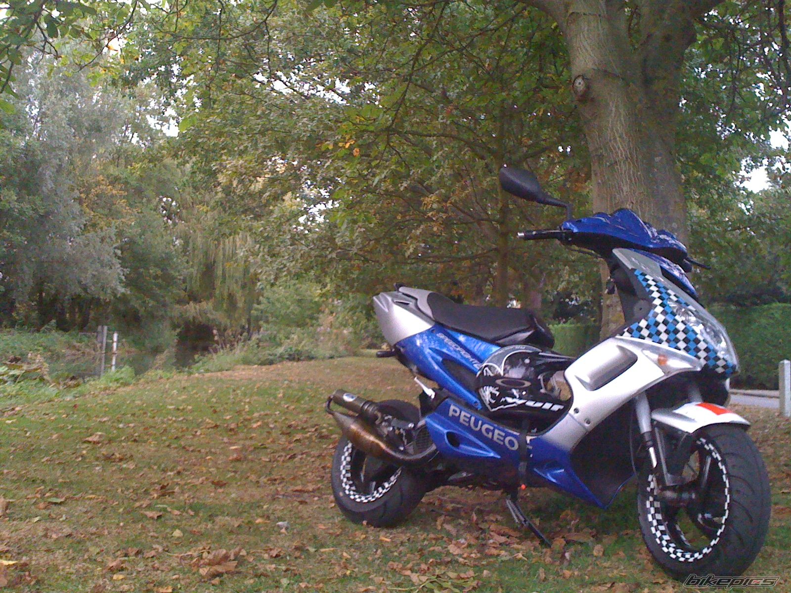 Photo 1797342