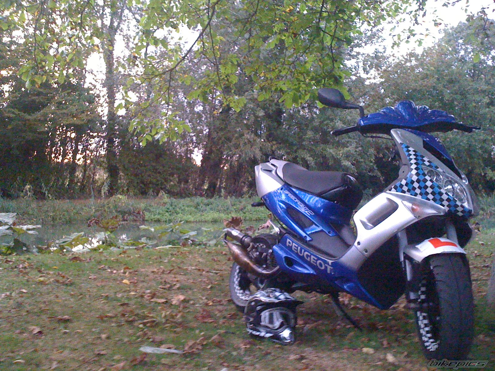 Photo 1797349