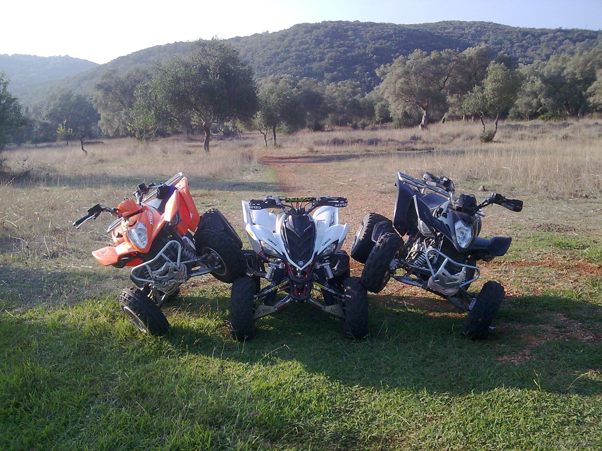 Photo 1797371