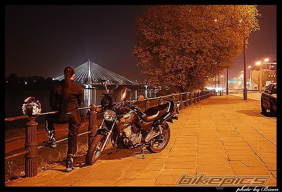 Photo 1797383