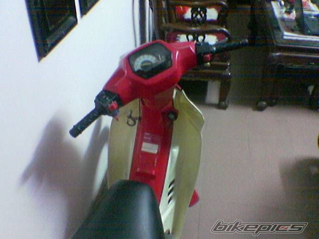 Photo 1797425