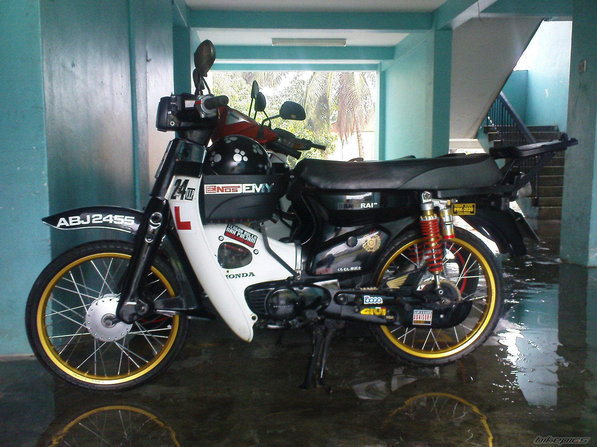Photo 1797462