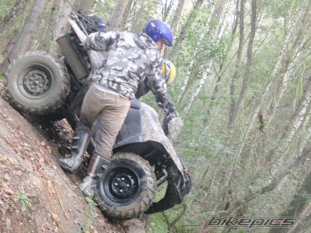 Photo 1797496