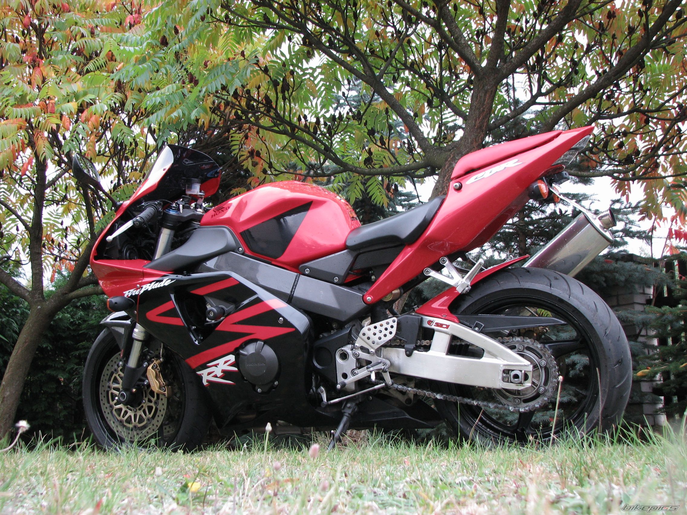 Bike Photo 1797501