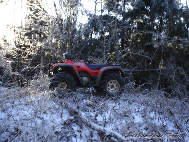 Photo 1797641