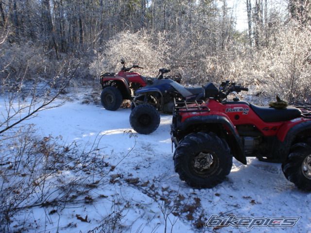 Bike Photo 1797642