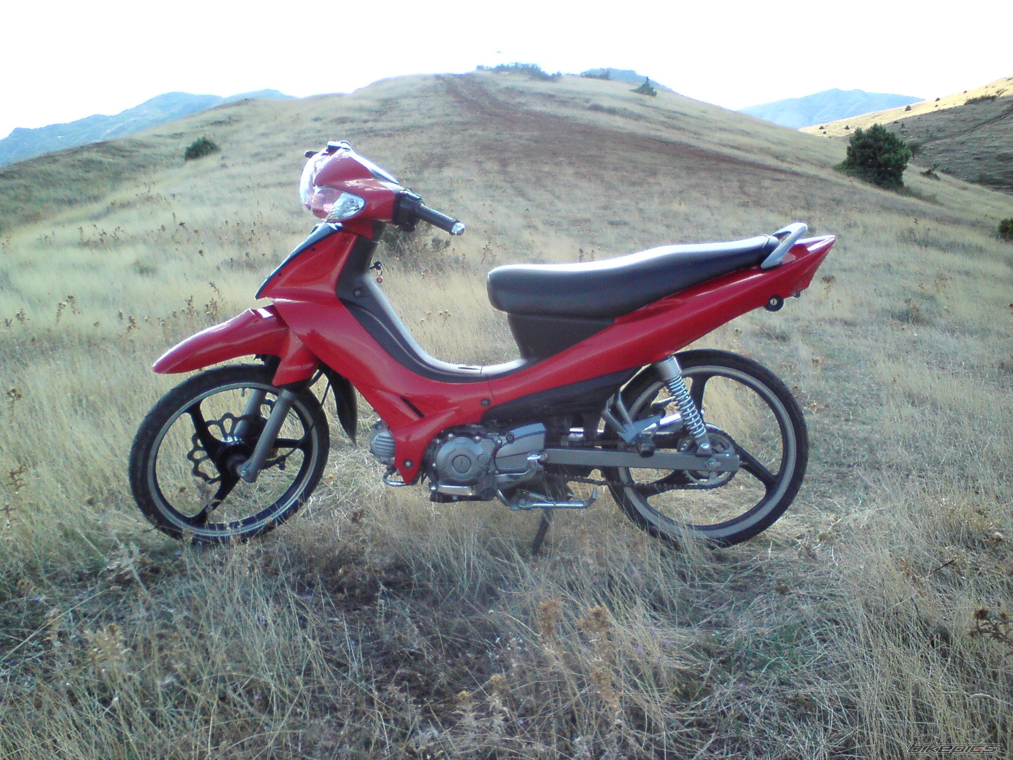 Photo 1797647