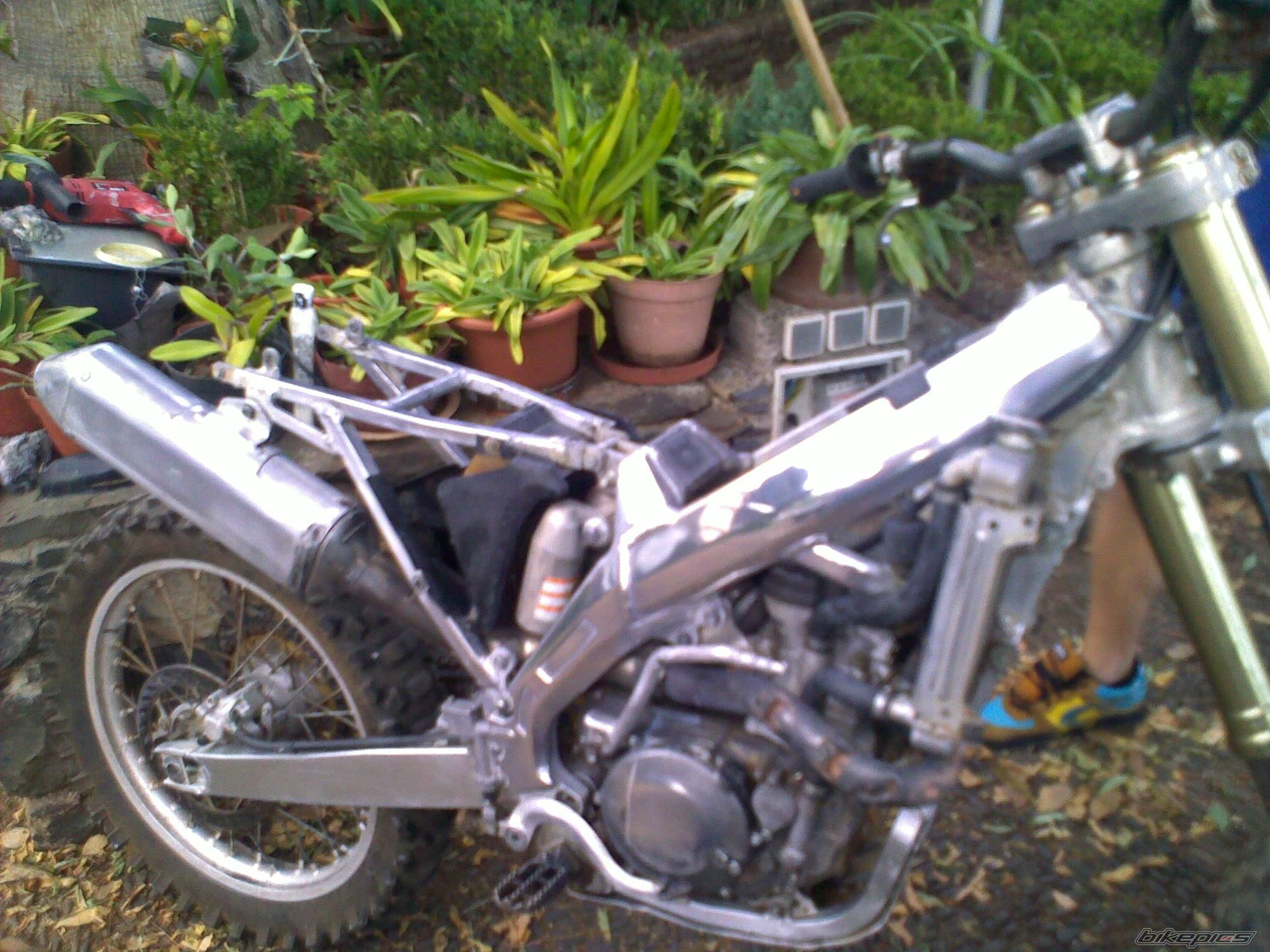 Photo 1797788