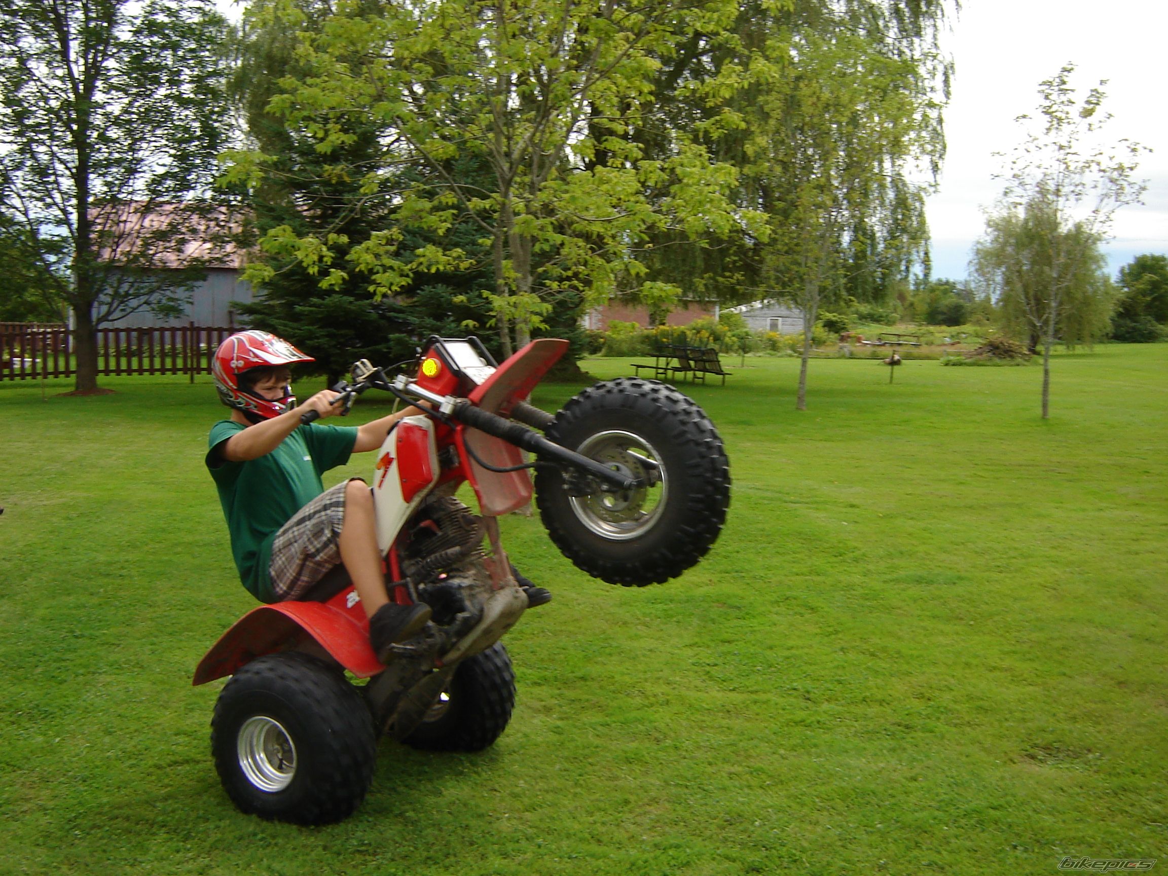 Photo 1797797