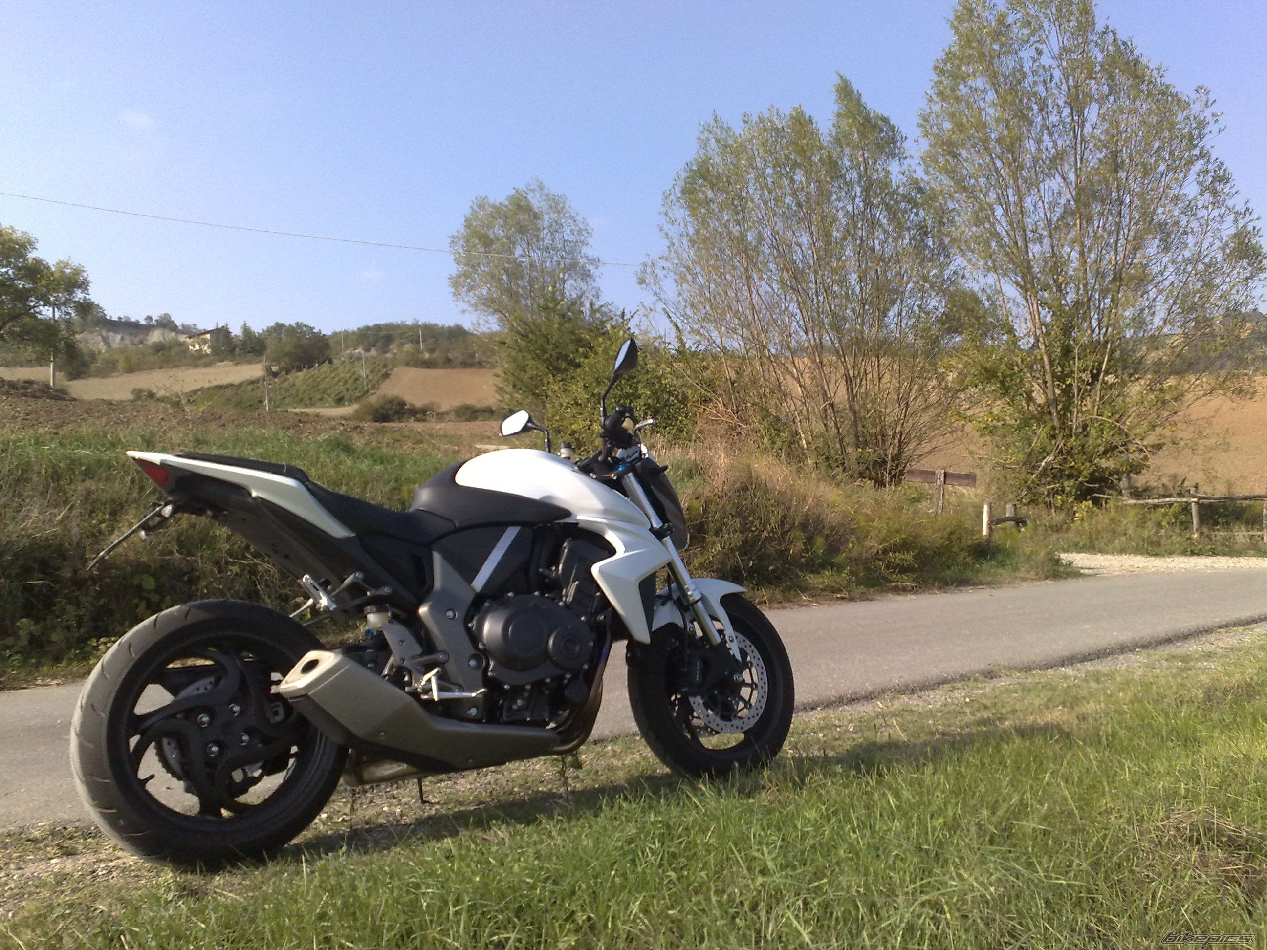 Photo 1797804