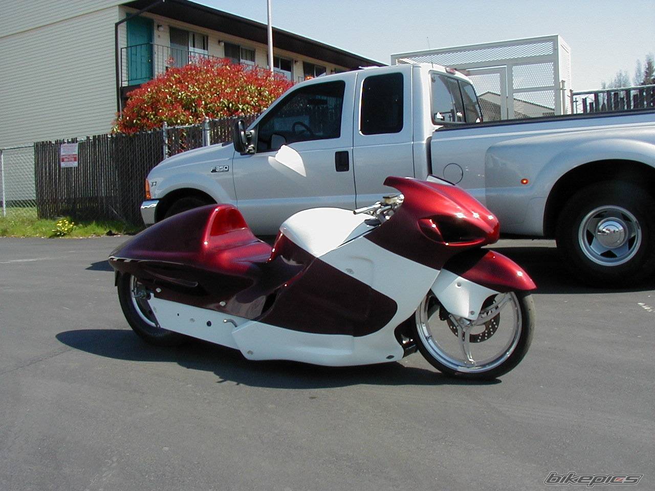 Photo 179784