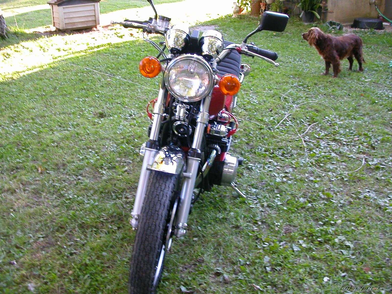 Photo 1797861