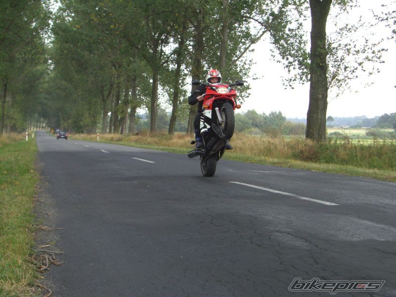 Photo 1798179