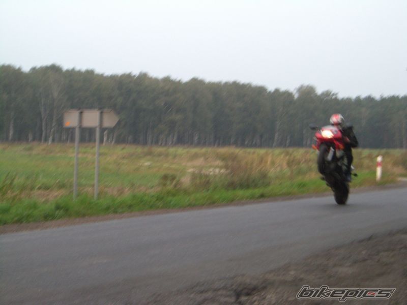 Photo 1798181