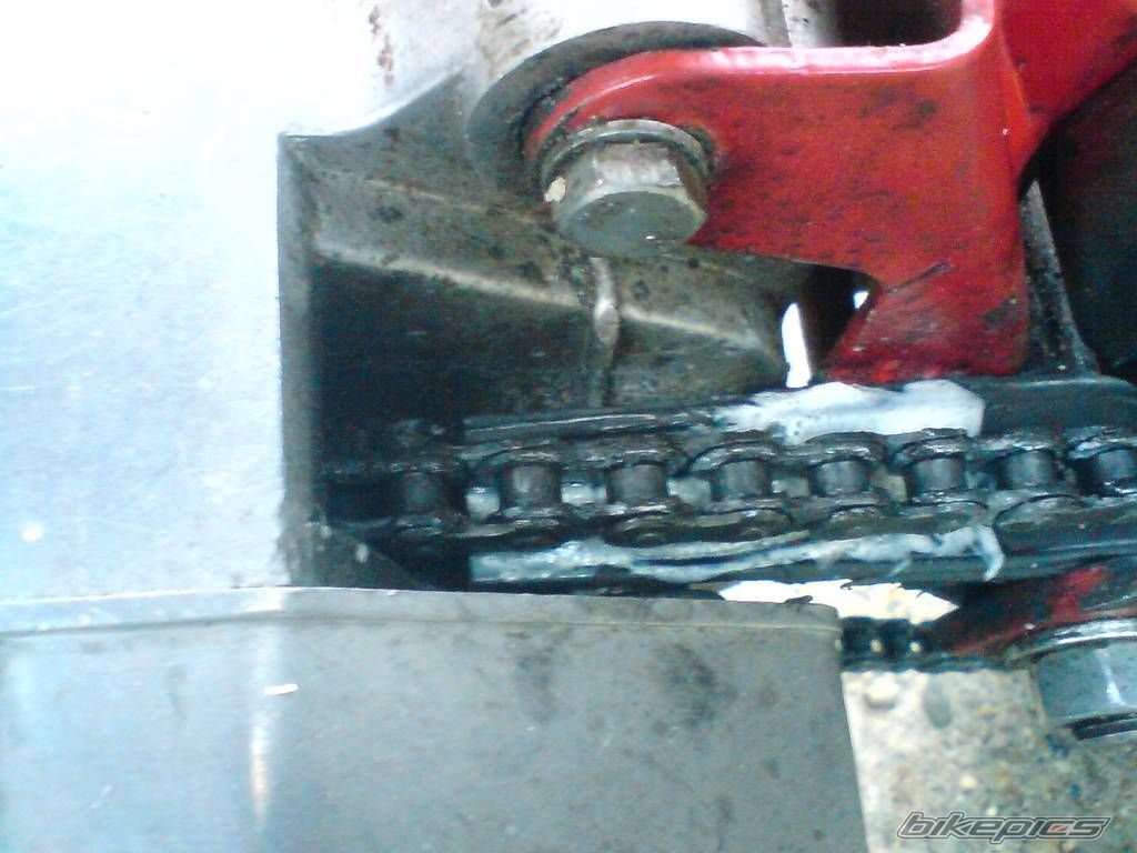 Photo 1798233