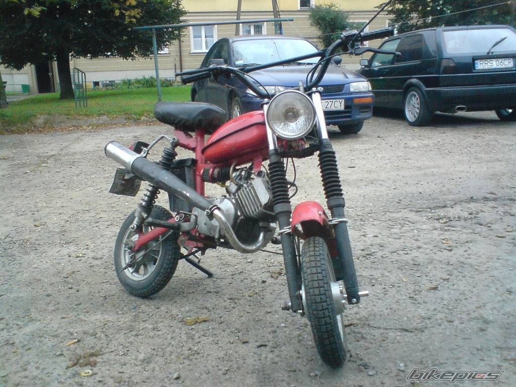 Photo 1798239