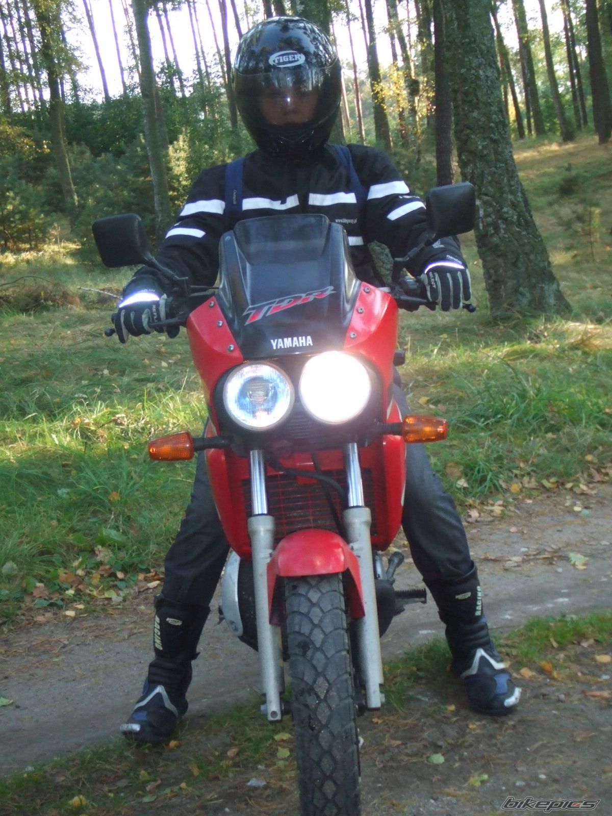 Photo 1798307