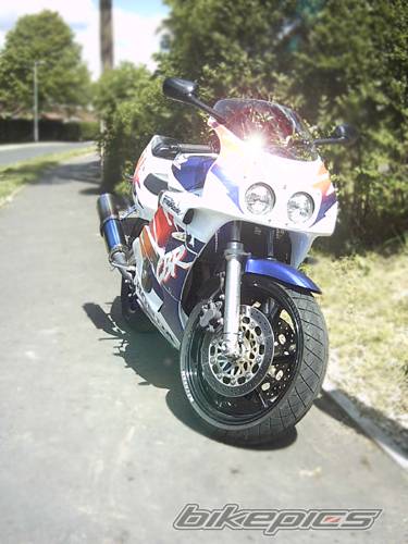Photo 179831