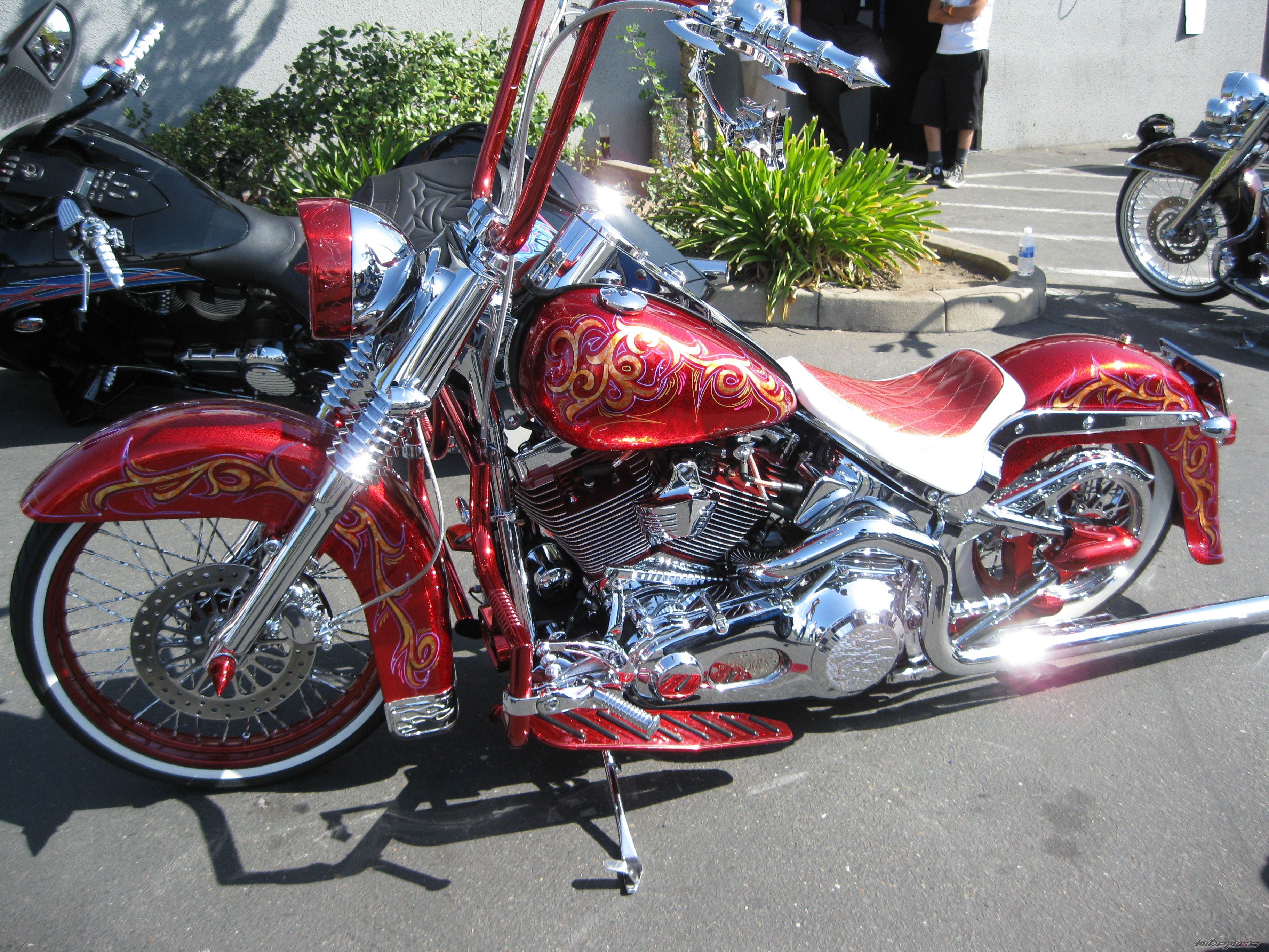 Photo 1798404