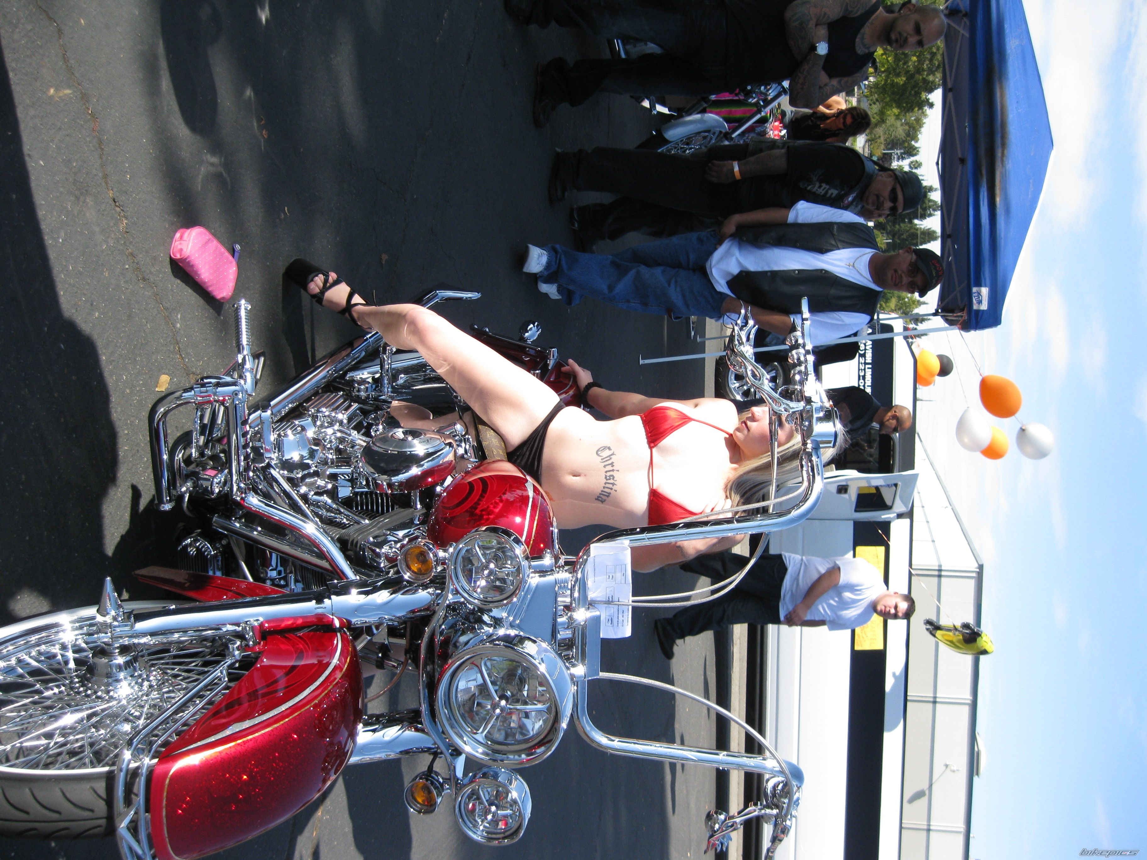 Photo 1798432
