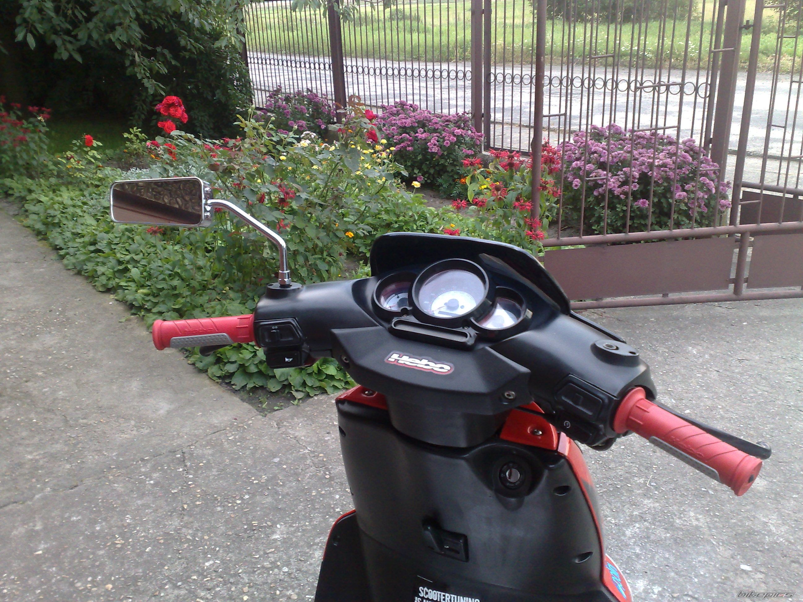 Photo 1798451