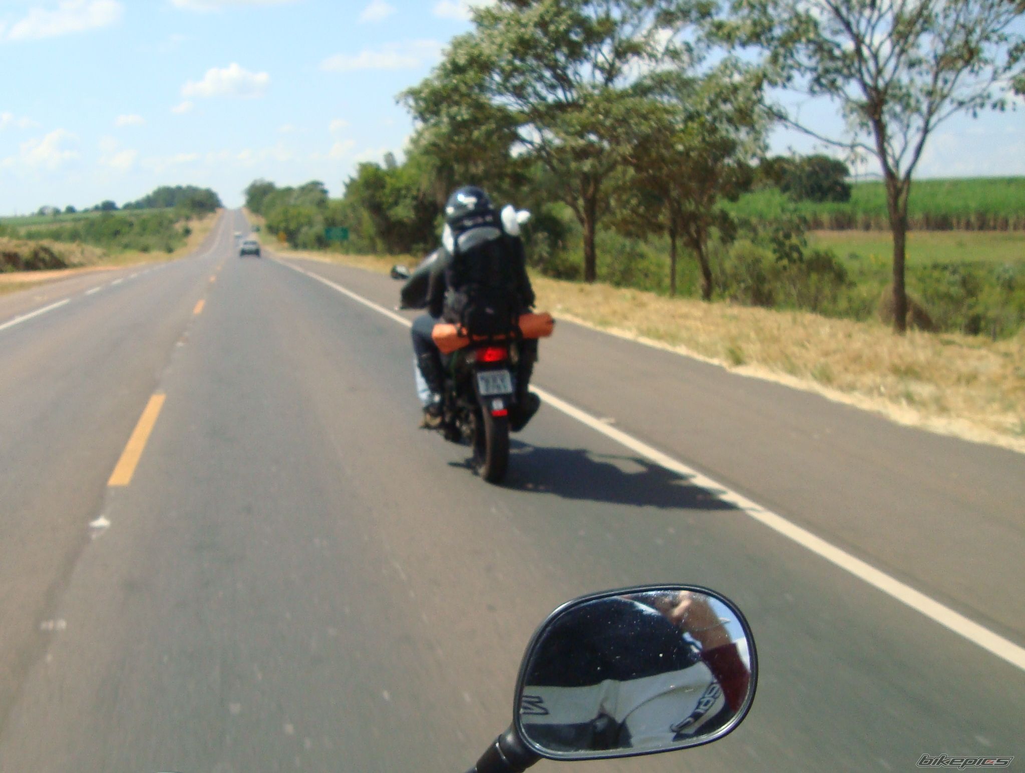 Photo 1798464