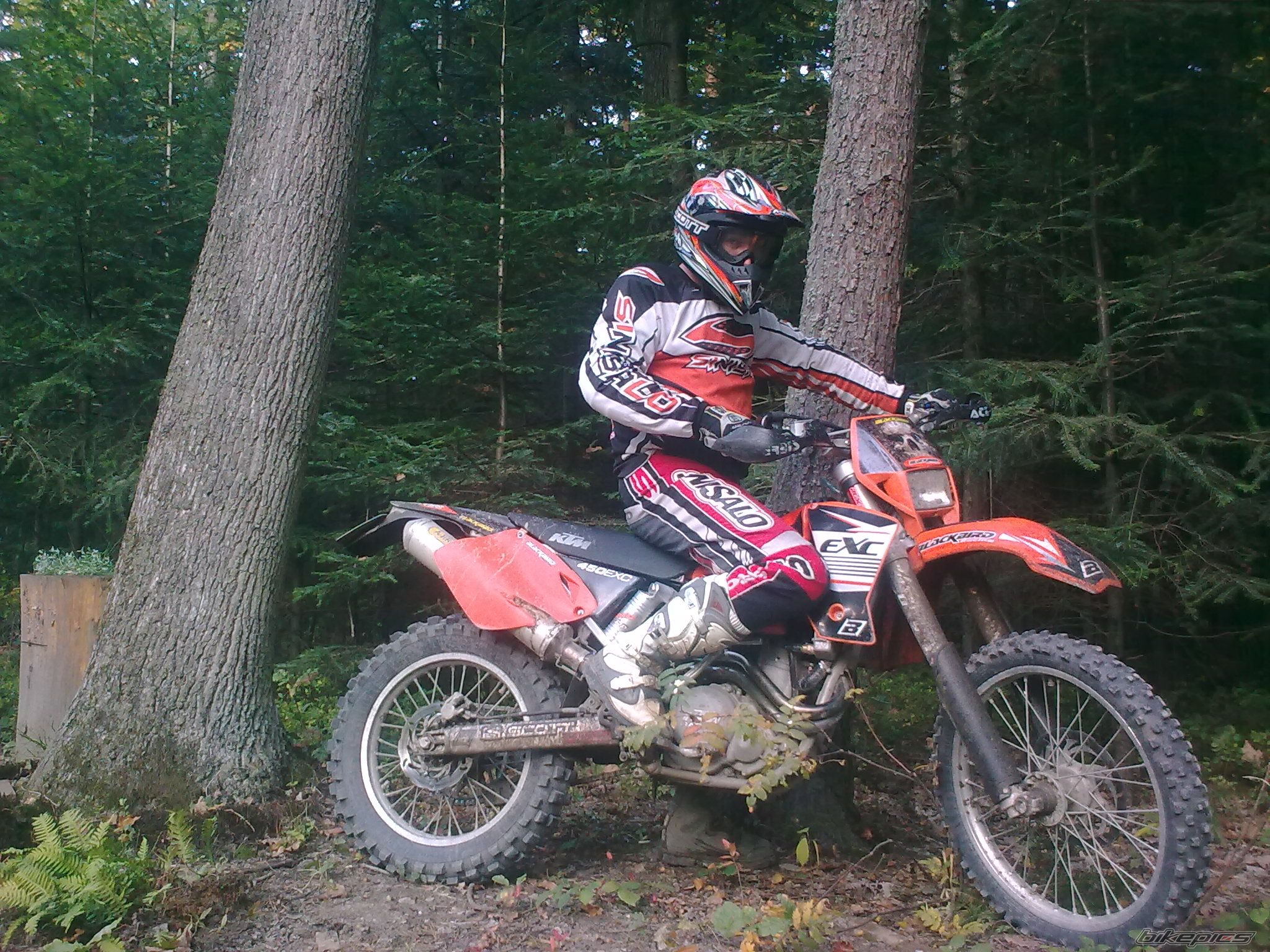Photo 1798540