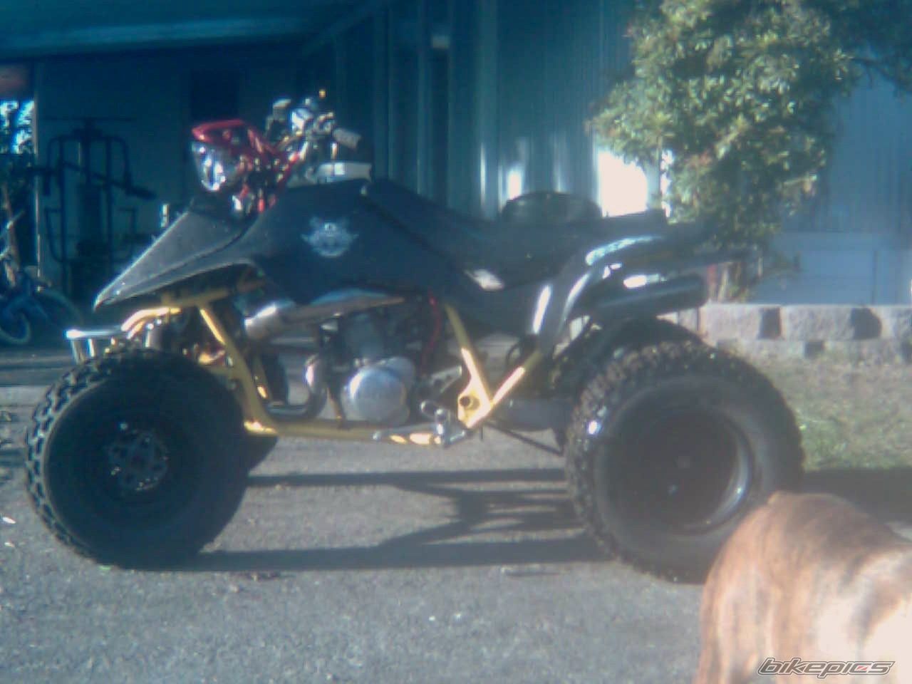 Bike Photo 1798572
