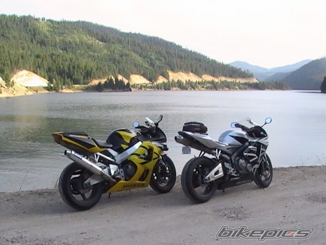 Photo 1798664