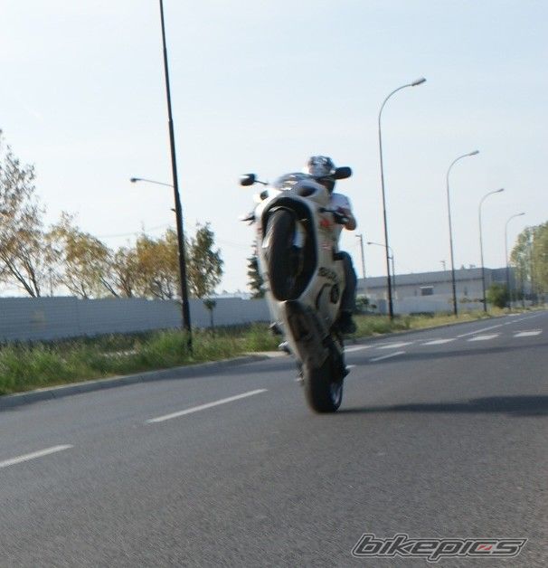 Photo 1798705