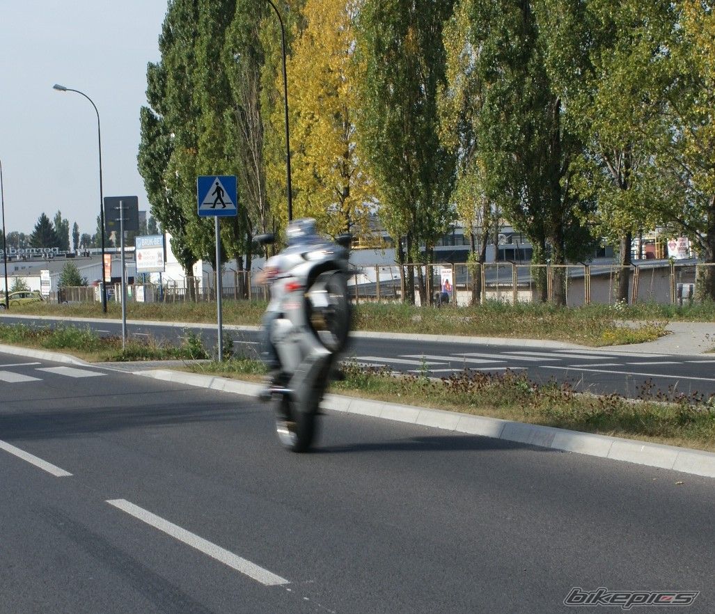 Photo 1798706
