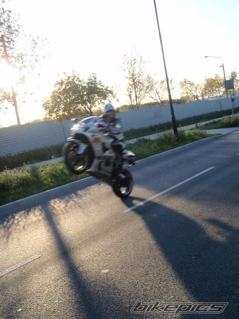 Photo 1798727