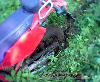 Photo 179875