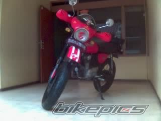 Photo 1798817