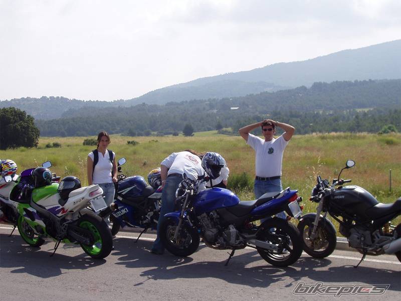 Photo 179886