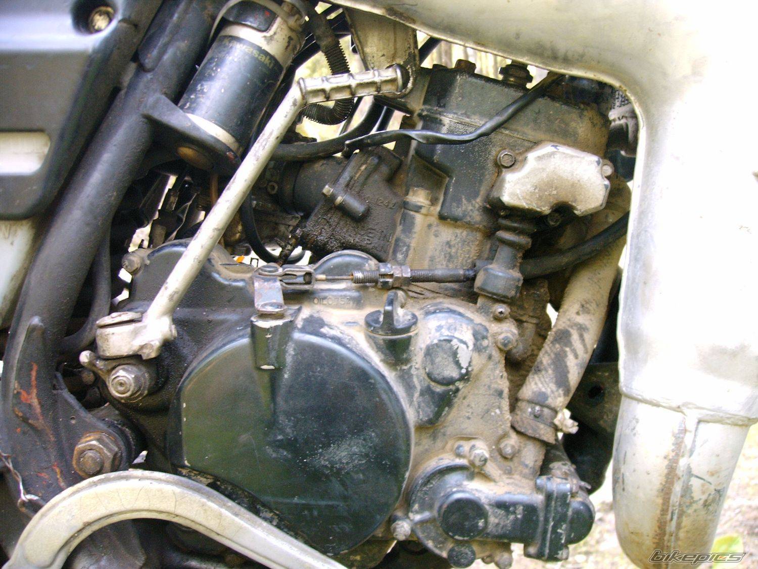 Bike Photo 179890