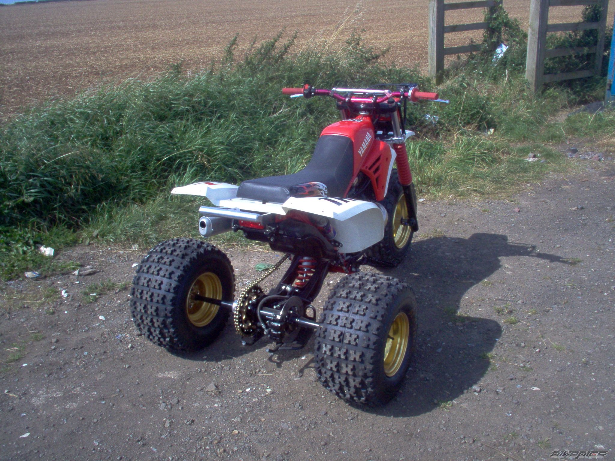 Photo 1798941