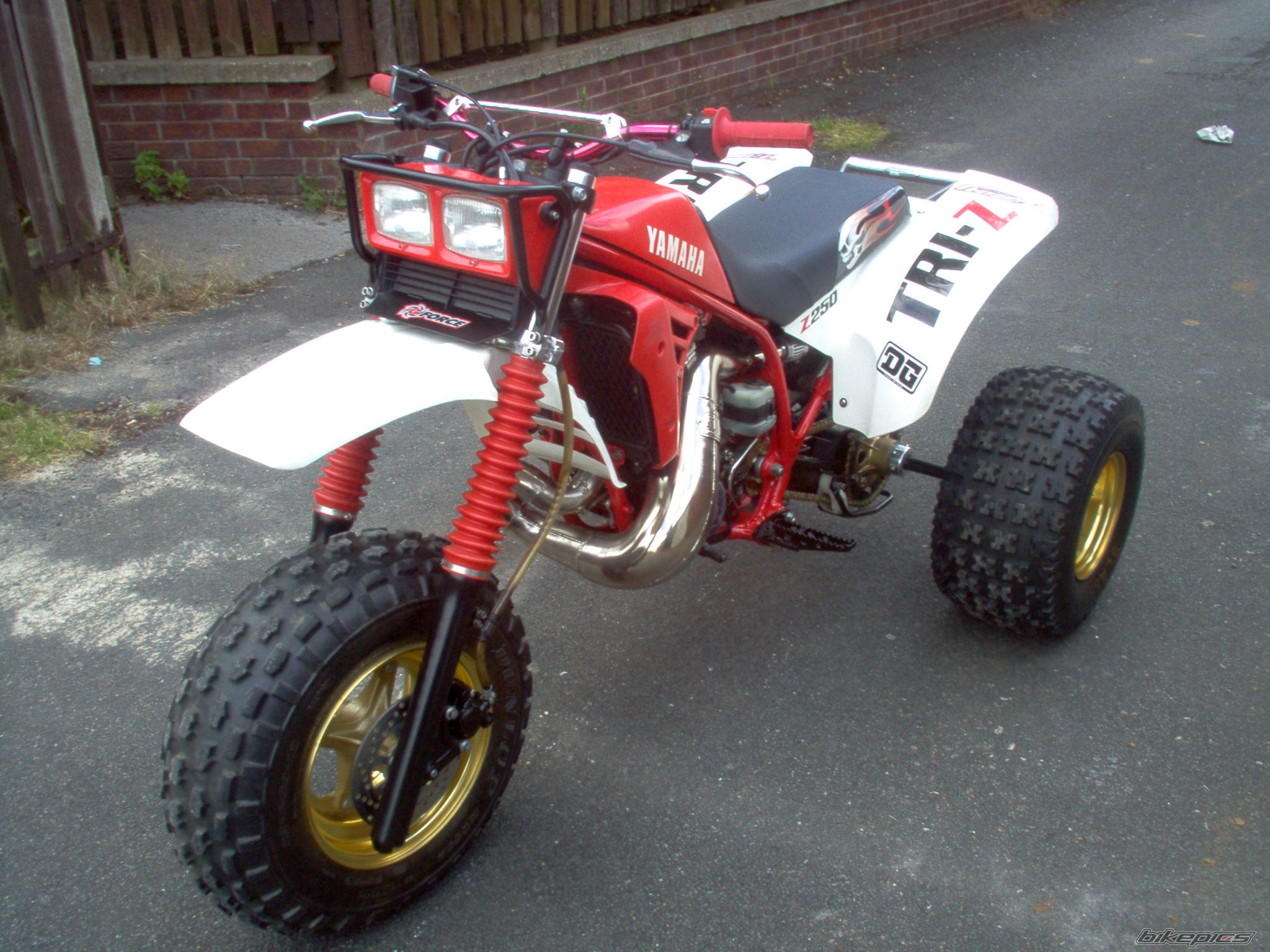 Photo 1798949