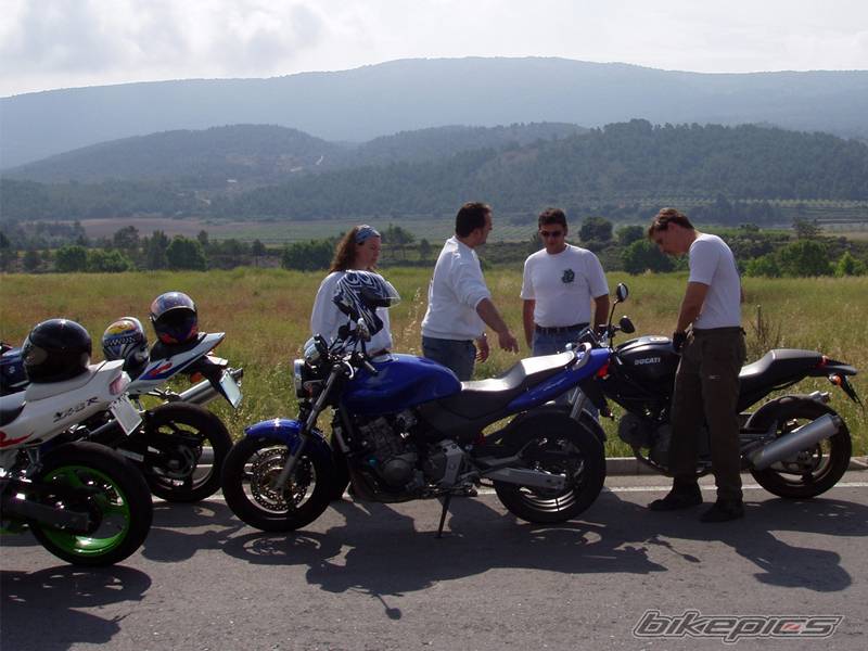 Photo 179895