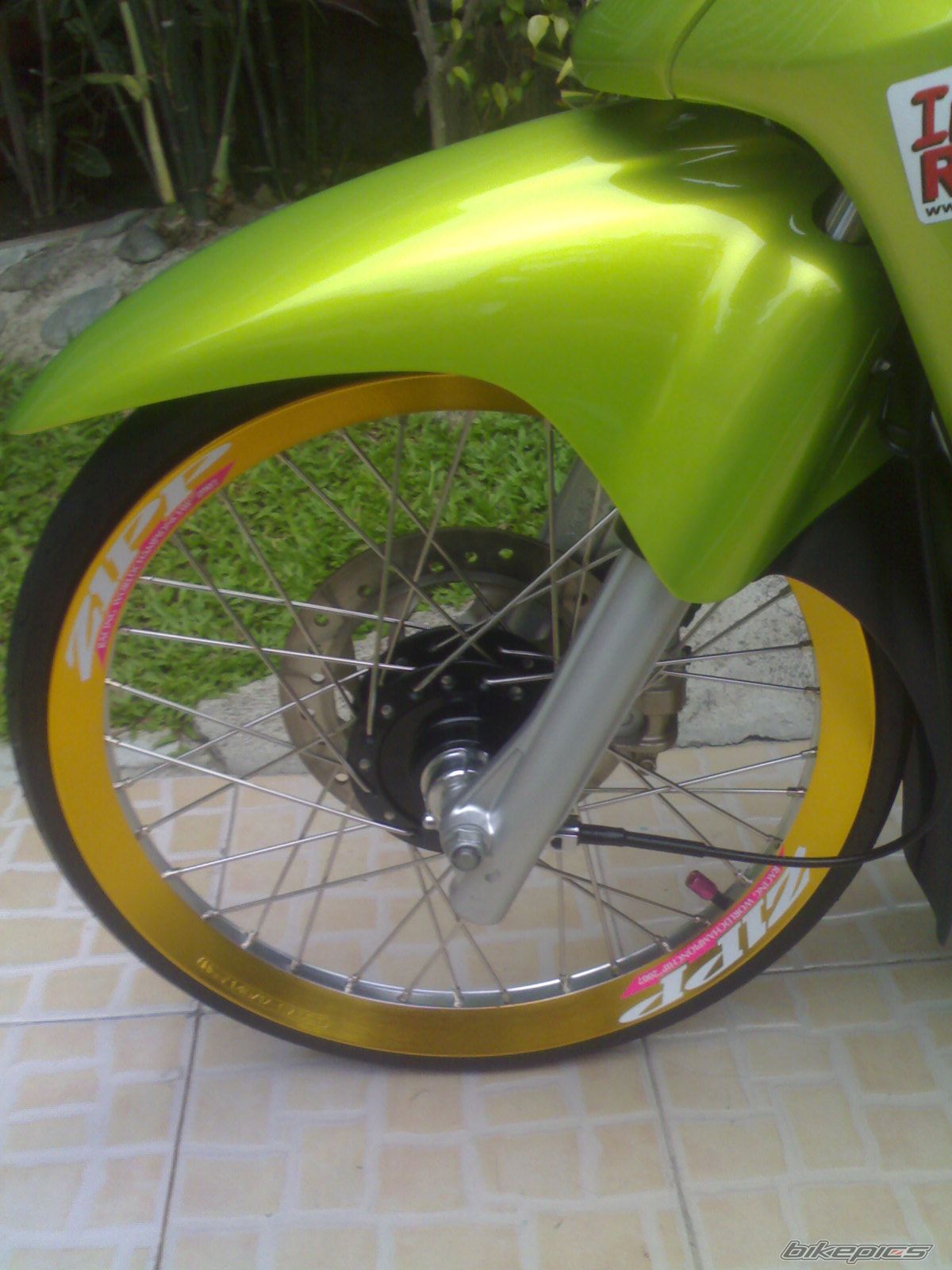 Photo 1798954