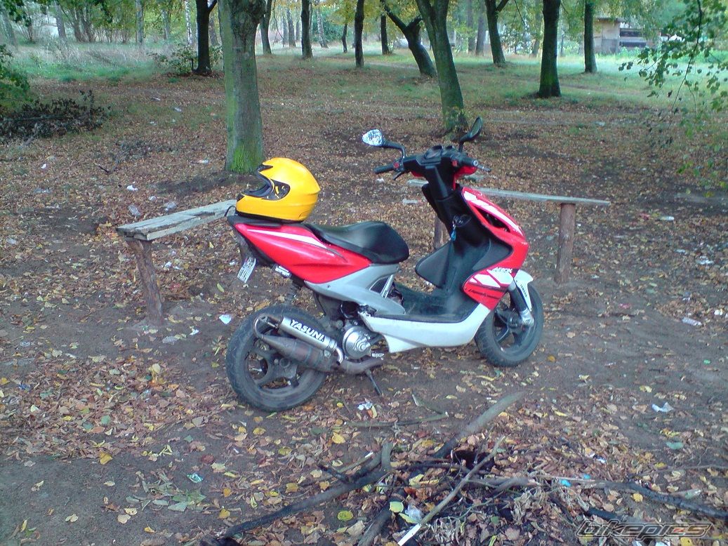 Photo 1799007