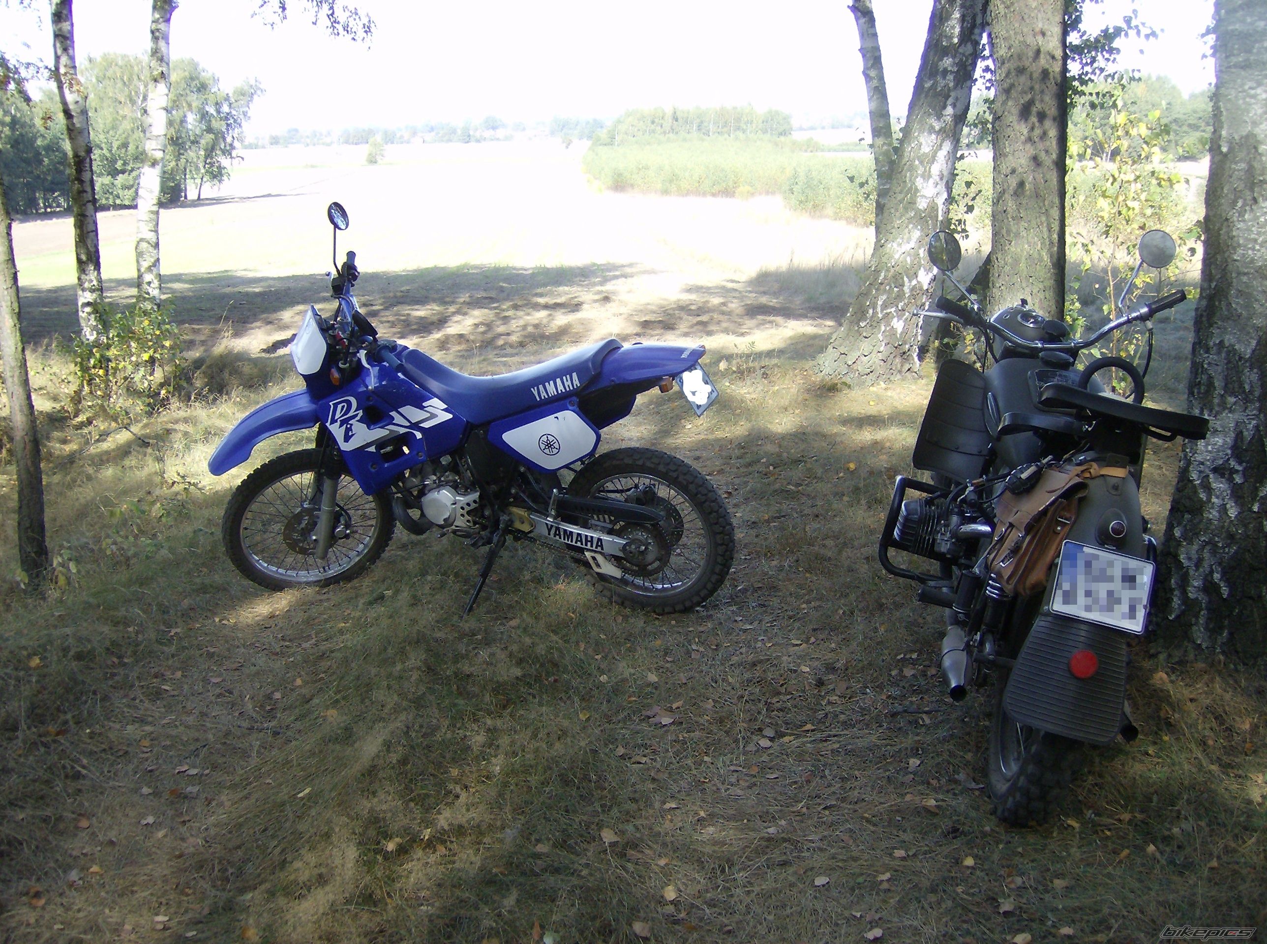 Photo 1799028