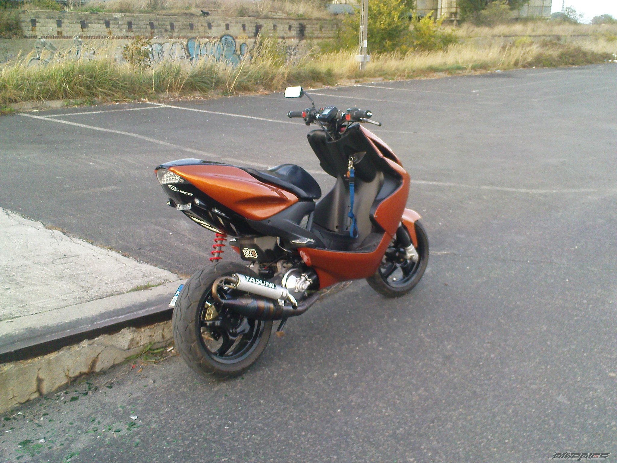 Photo 1799043