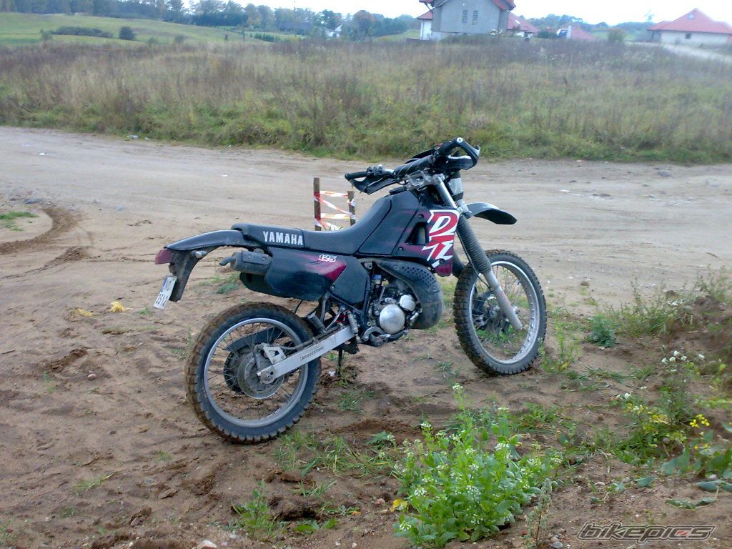 Photo 1799088