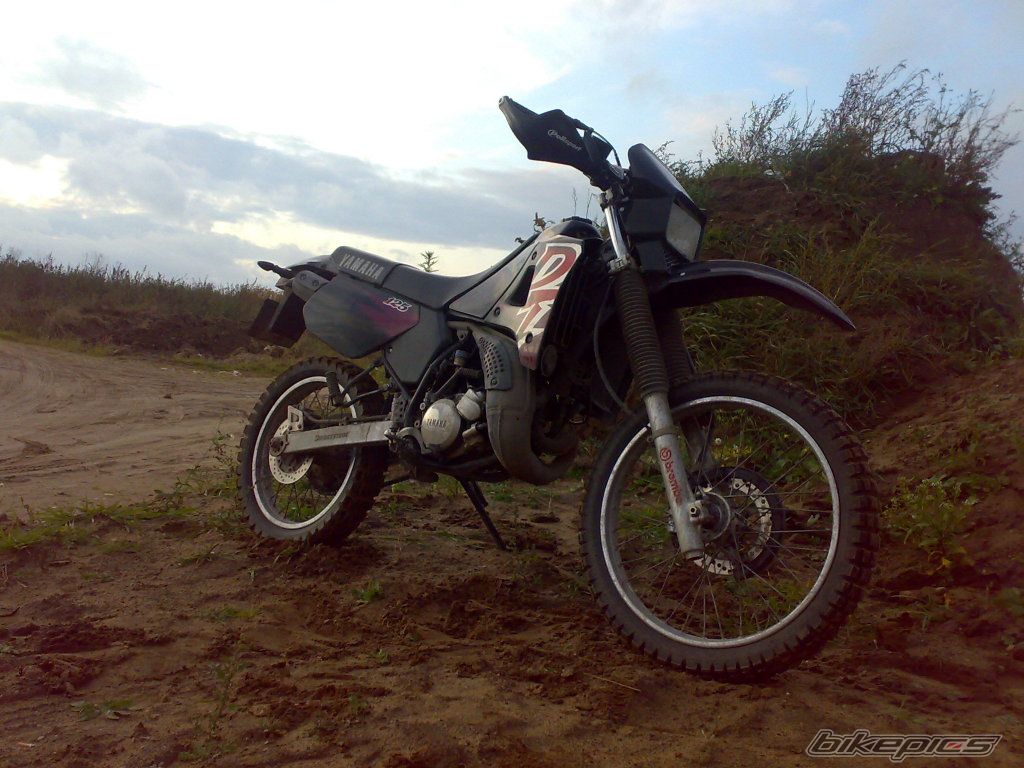 Photo 1799093