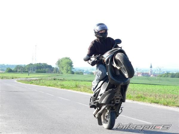 Photo 1799201