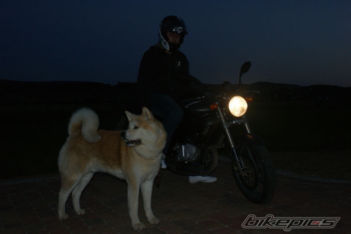 Bike Photo 1799226