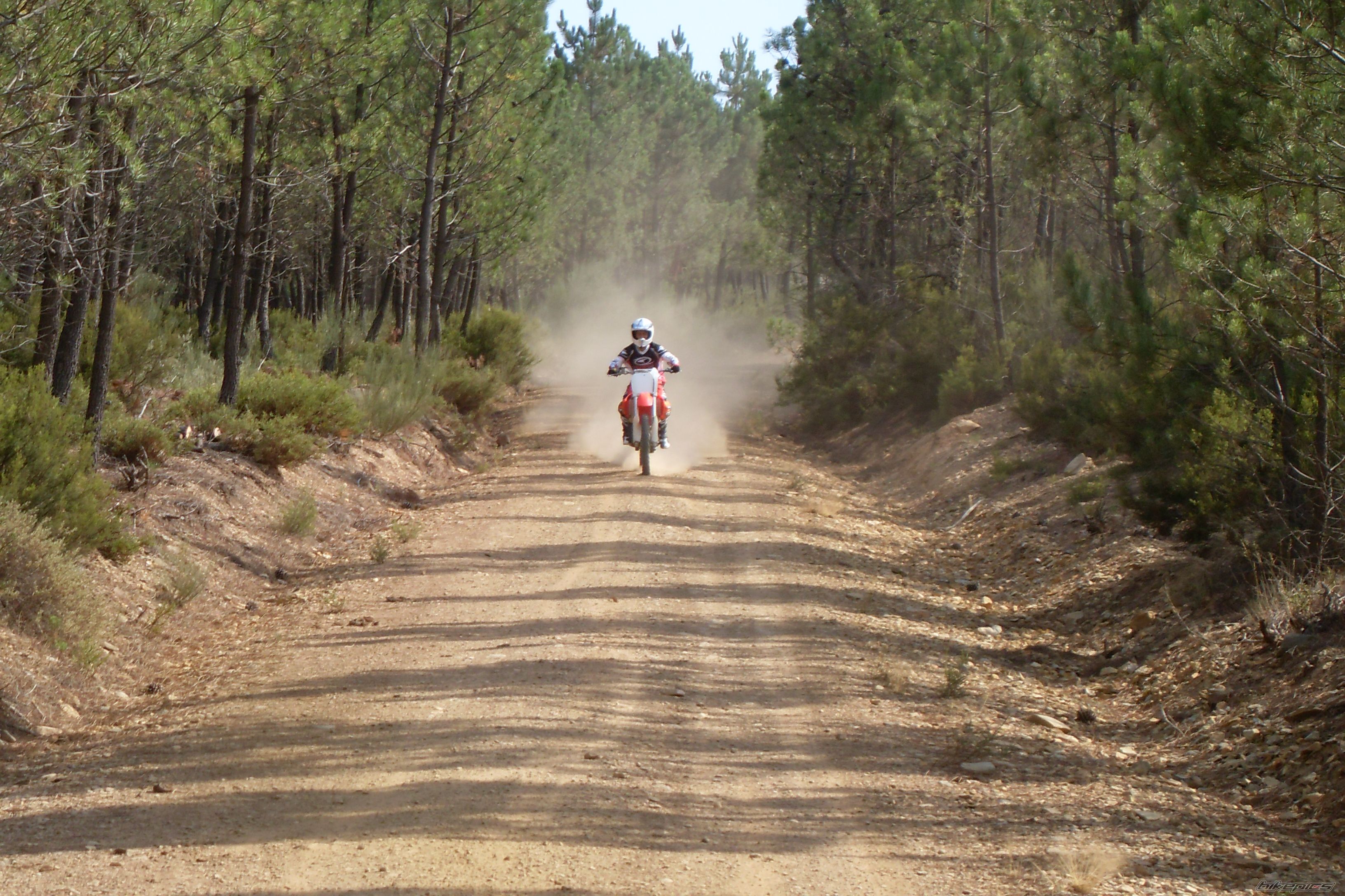 Bike Photo 1799242