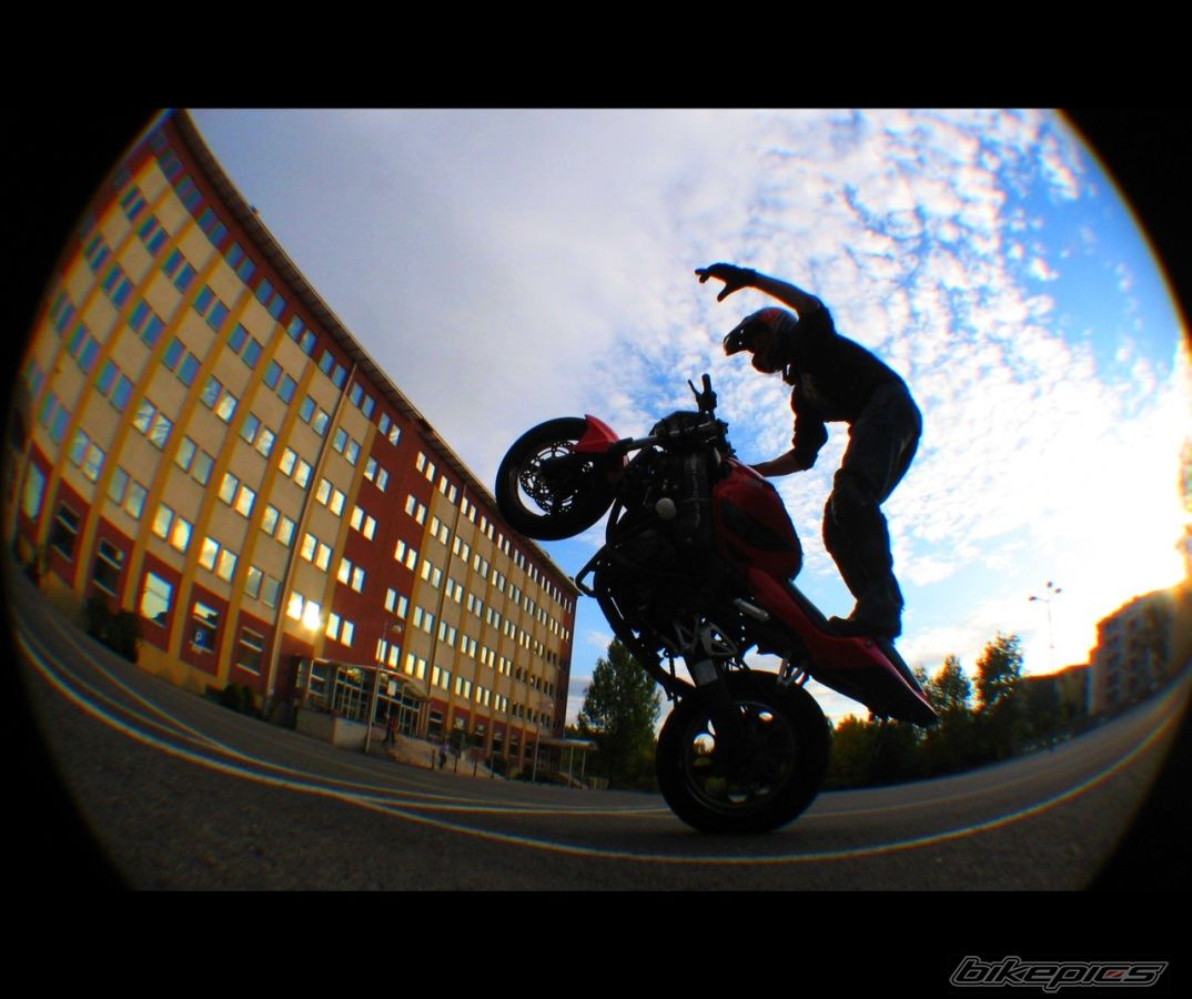 Photo 1799266